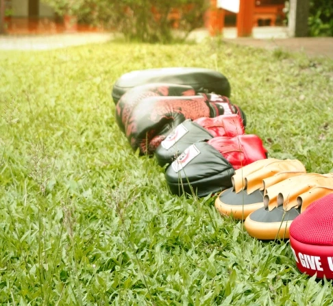 Muay Thai boxing gloves and pads lined up neatly on the green grass at Siam Rehab