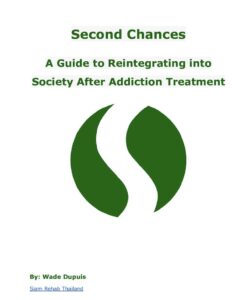 Reintegrating into Society After Addiction Treatment