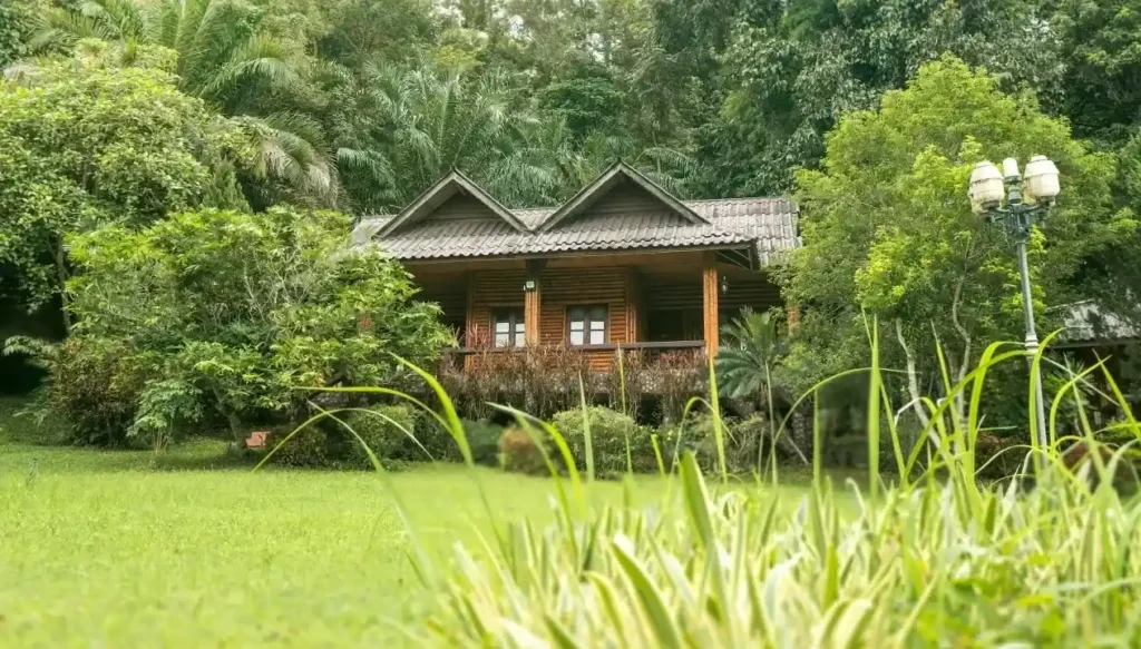 Siam Rehab wooden lodging nestled up against the jungle flora with green lawn in foreground