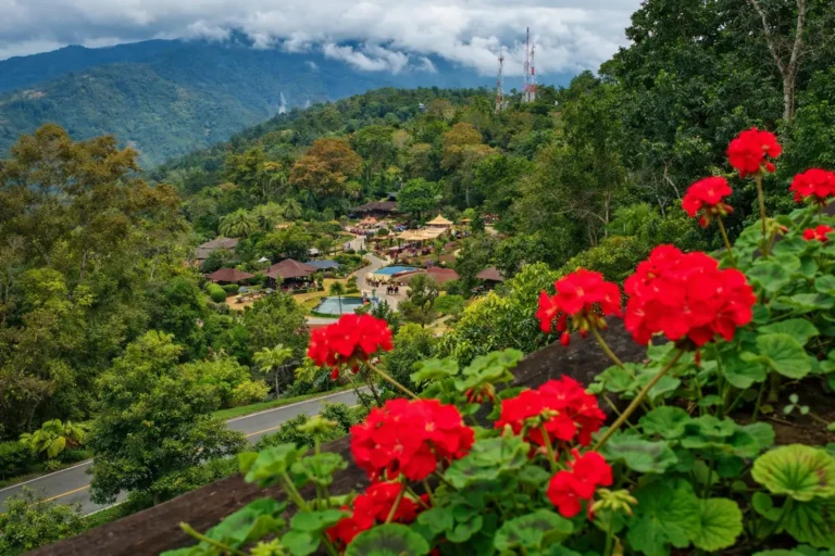 Scenic view of a residential treatment center campus surrounded by lush mountains and low-hanging clouds, framed by red flowers in the foreground.