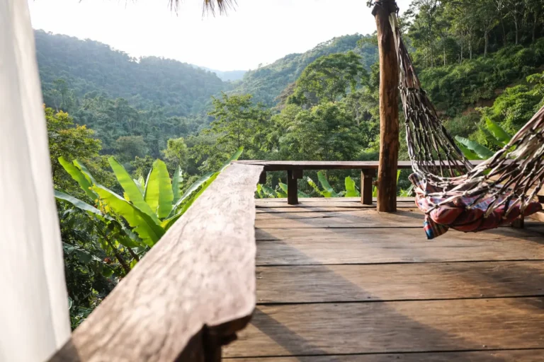 A wooden balcony with a hammock overlooks a lush forest at a residential addiction treatment facility.